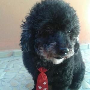 Meet your Posher, Maria noemia